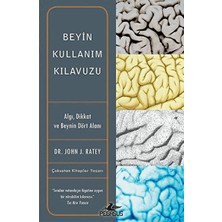 Pegasus Yayınları Beyin Kullanım Kılavuzu