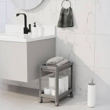 Astera 2 Katlı Tekerlekli Tezgah Altı Depolama Rafı Organizer 40X36X23 cm - Gri