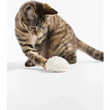 Pidan Cassava Kedi Kumu 2.4 kg