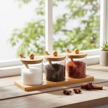 Astera Bambu Standlı 3'lü Borosilikat Cam Baharatlık Seti