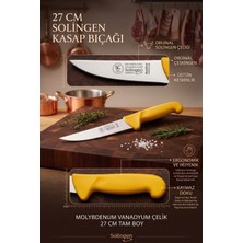 Solingen Profesyonel Kasap Bıçağı - Paslanmaz Çelik Ergonomik Saplı Et Kesim ve Yüzme Bıçağı ( 27 cm )