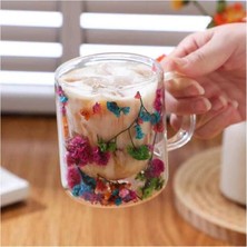 Astera 300 ml Isıya Dayanıklı Çift Cidarlı Çiçekli Cam Çay Kahve Kupası