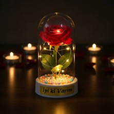 Alvenda Home Renkli Toplu Ledli Gül Fanus