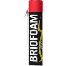 Brio Pu Montaj Köpüğü Hortumlu 750 Gr