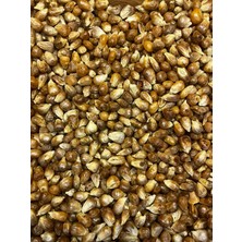 Tümer Kuruyemiş Mısır Kavurga 1 kg