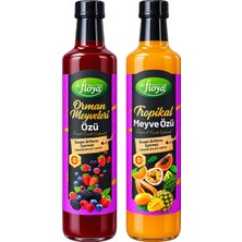 Dr. Floya Meyve Özü 650 gr Tropikal ve Orman Meyveleri 2 Li Set