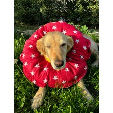 Petris 0.rta-Büyük.ırk Köpek Boyunluk-Elizabeth Yakalık Operasyon Boyunluk-Kedi Boyun Yastığı-Xxl