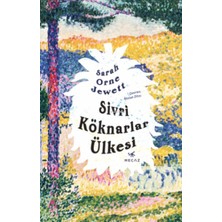 ALK Sivri Köknarlar Ülkesi