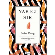 ALK Yakıcı Sır (Bez Ciltli)