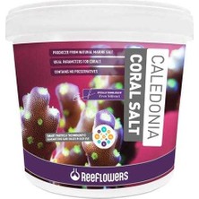 Reeflowers Caledonia Coral Salt 22,5 kg