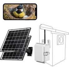 Wıwacam Yuvalama Kutusu Kamerası Wlan Kamera, 16W Güneş Enerjisi, Yuvalama Kutuları, Kuş Evleri, Kuş Kutuları, Kuş Evleri Için 10000MAH Pil