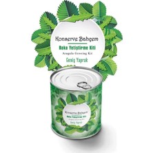 Varsoph Biishe® Konserve Bahçem Evde Konservede Iri Yapraklı Roka Yetiştirme Kiti