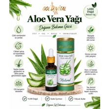 Gold Vital Aloe Vera Yağı – %100 Doğal Aloe Vera Yağı, Nemlendirici Cilt ve Vücut Bakım Yağı (Aloe Vera Oil) 20 ml