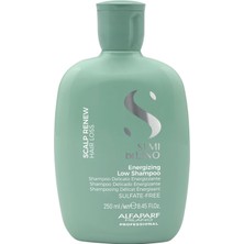 Semi Di Scalp Renew Enerji Veren Dökülme Önleyici Saç Losyonu 12X10 ml
