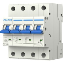 Pantec 40A 1000V Dc Sigorta