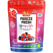 Pol's Pol’s Freeze Fresh Berry Mix 16 gr