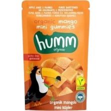 Humm Organik Glutensiz Vegan Mangolu Mini Küpler 30 gr