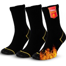 Ayrex 3 Çift Erkek Çorap - Uzun Havlu Kışlık Outdoor Kamp Kar Çorabı Kadın - Pamuklu Yastık
