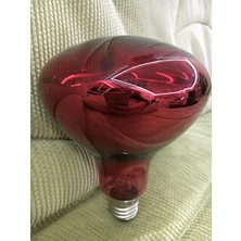 Ayrex Efe Kuluçka Makineleri Kümes Infrared Isıtıcı