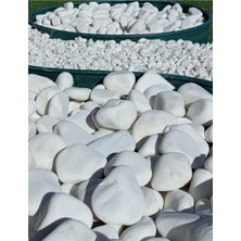 Ayrex Dolomit Taş 20 kg 6-10 cm Beyaz Dolomit Bahçe Taşı Çakıl Taşı Saksı Taşı Akvaryum T