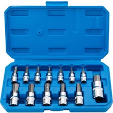 Ayrex Alight Hex Bit Soket Seti Premium S2 Alaşım Çelik | 13 Parça Metrik 2 mm - 14 mm Allen Sok