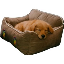 Ayrex Pawgo, Premium Taşınabilir Kedi ve Köpek Araba Koltuğu, Tasma Klipsli, Ayarlanabilir Kayı