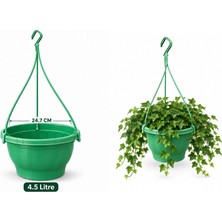 Tunç Botanik YEŞİL RENK ASKILI SAKSI 5 ADET 4.5 Litre (24.7 CM X 15.2 CM /  60