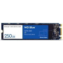 Western Digital Wd Blue Sata SSD M.2 2280 250 GB 2,5" (Dahili Ssd, Yüksek Güvenilirlik, 550 Mb/s'ye Kadar Okuma, 525 Mb/s'ye Kadar Yazma, Darbeye Dayanıklı ve Wd F.ı.t. Lab Sertifikalı)