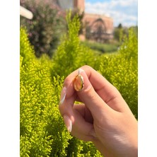 Topaloğlu 8 Ayar Altın Başak Model Halka Küpe 3.10 gr