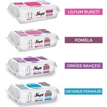 Sleepy Yüzey Temizlik Havlusu 100 Lü 4 Lü Karma Paket