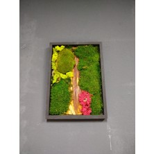 Dc Art Gallery Dcartgallery Forest Path Ahşap & Yosun Tasarım Duvar Dekoru (34 cm x 47 cm ) - Bakım Gerektirmeyen Doğal Yosun Pano
