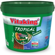 Ayrex Tropical Granulat Lepistes Kılıç Melek Tetra 3 kg Kova Balık Yemi