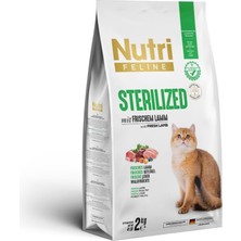Ayrex Sterilized Kuzu Etli Kuru Kedi Maması, 2 Kg, Tahılsız