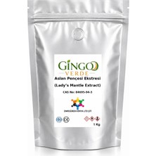 Gingo Aslan Pençesi Ekstresi (Toz) 1 kg
