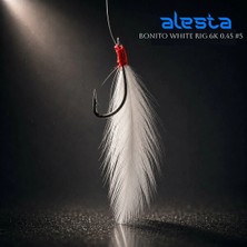 Alesta Bonıto Whıte Rıg X0278 6 Köstekli 0.40MM No:6 Iğne