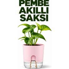 ByKurt Akıllı Saksı Kendinden Sulamalı Fitilli Modern Dekoratif Saksı 2 Litre