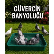 An-ga Güvercin Banyoluk, Banyo Kabı 60X40X12