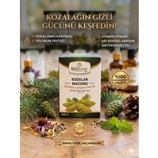 Organik Life Kozalak Macunu 240 G %100 Doğal Katkısız Geleneksel Çam Kozalağı Macunu