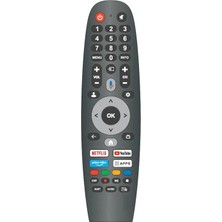 Herz Dijitsu ile Uyumlu Model 65DQ38000 Mikrofonlu Google Smart Tv Kumanda
