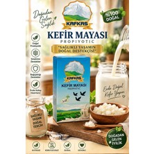 Kefir Mayası