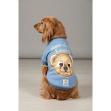 Miniş How Do I Look Blue Teddy Küçük Köpek Pamuklu Sweatshirt
