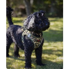 Trio Air-Mesh Kamuflaj Desenli Köpek Göğüs Tasması / Nefes Alabilir , Rahat ve Dayanıklı