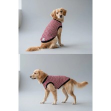 Miniş Bordo Kolsuz Küçük Irk Köpek Trikosu (Büyük Kalıplıdır)
