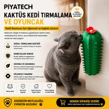 Piyatech Kaktüs Tasarımlı Duvar Köşe Kedi Kaşınma ve Masaj Fırçası Tırmalama Aparatı