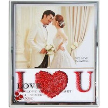 Sanal Bayim Plastik LED Işıklı Fotoğraf Çer 25X20 Love 7493-8