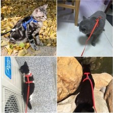 Herfie Evcil Hayvan Gezdirme Koşum Takımı Yürüyüş Kayışı Boyu Uzatılabilir 1 Parça