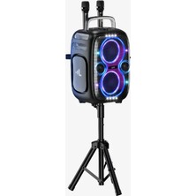 LinkTech M427 Premium Çift Mikrofonlu 650W Ekstra Bas Bluetooth Hoparlör