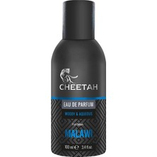 TeknoKapsül Malawı Woody & Aqueous Erkek Parfüm 100ML