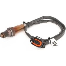 Bosch 0258006176 Oksijen Sensörü Y26SE Y32SE Omega B 855362