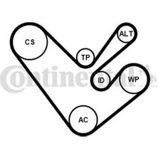 Contitech 6PK1555K4 Kanallı V Kayış Seti Amarok 10> T6 T7 09> 2.0 Tdı Caac Cfca Ccha Cnfa Cdba 03L14